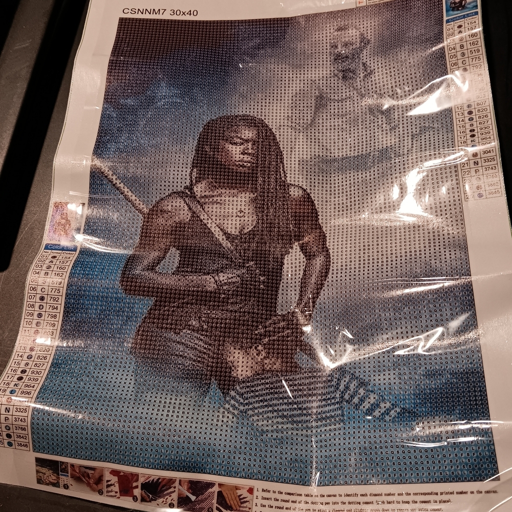 The Walking Dead Diamond Painting Kit With Michonne, Rick, and RJ 30x40